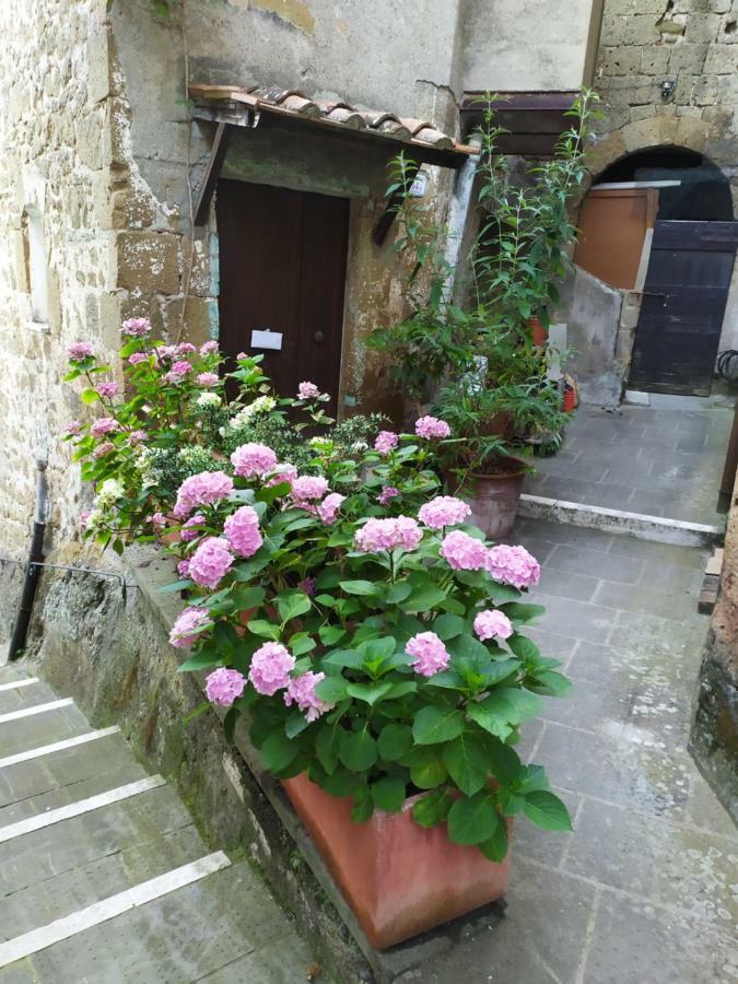 Mozzafiato Pitigliano Apartment Bagian luar foto